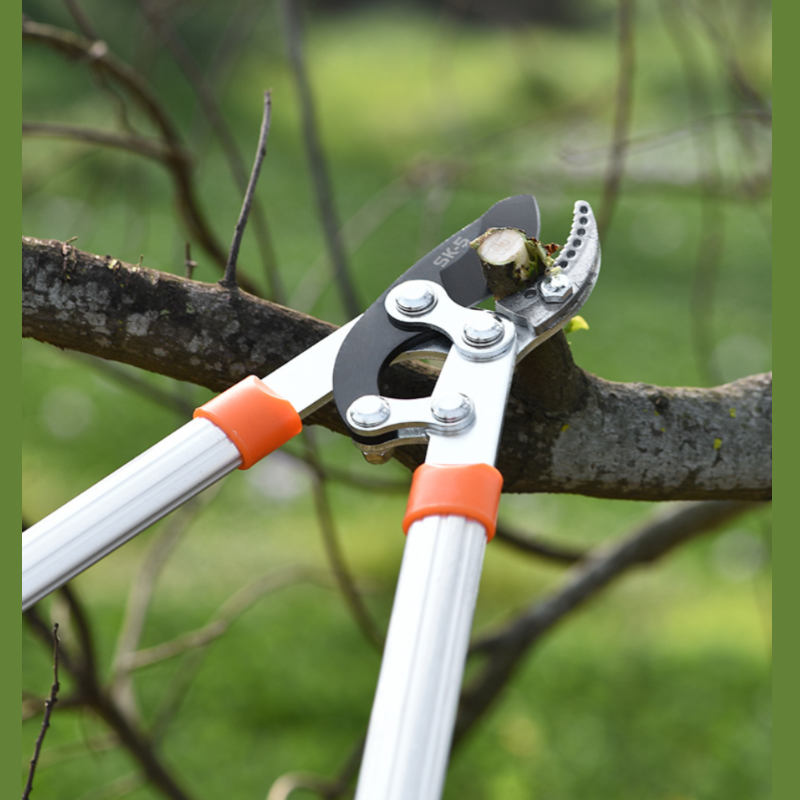 剪定枝鋏、果樹剪定、強剪定、庭太枝鋏、花枝強力剪定鋏、園芸工具、高枝鋏