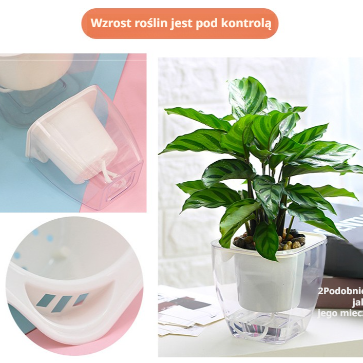 Całkowicie przezroczysta, automatycznie wchłaniająca wodę, leniwa doniczka