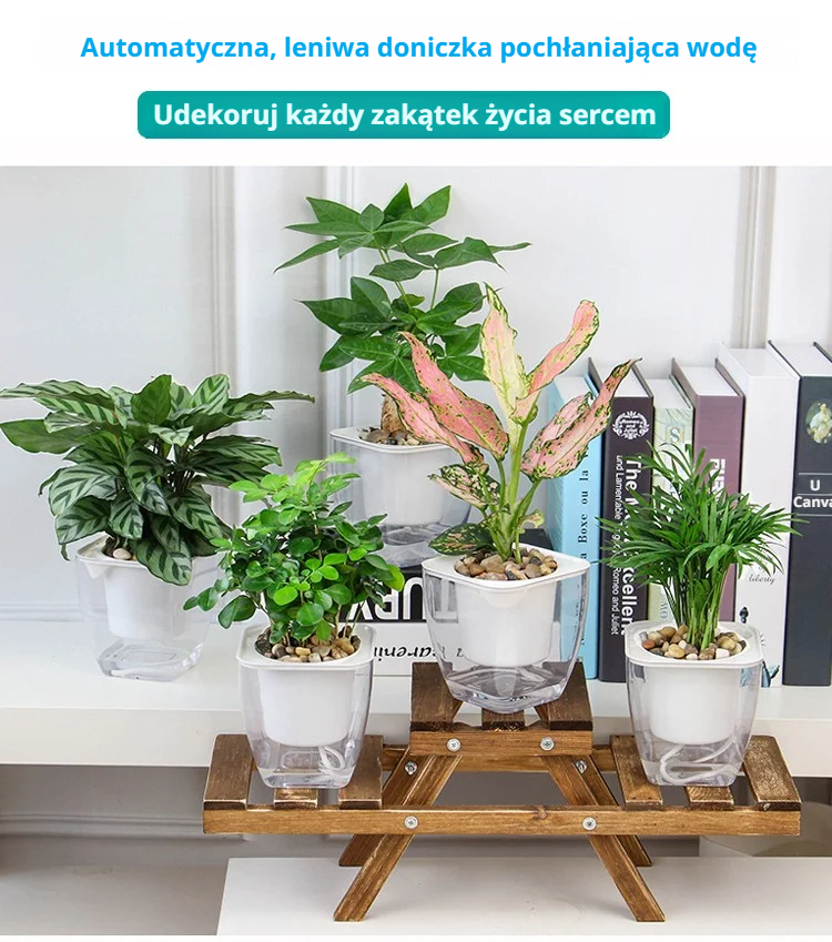 Przezroczysta doniczka samonawadniająca do domu