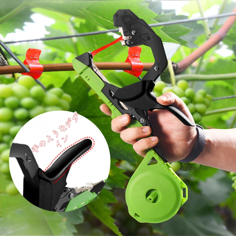 園芸のブドウのタイイングマシンス