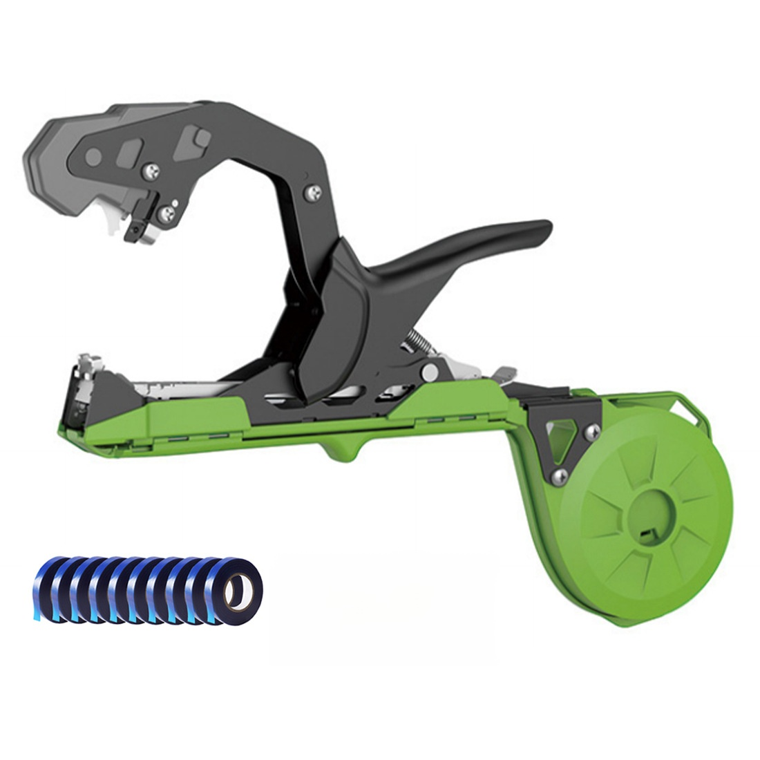 園芸のブドウのタイイングマシンス