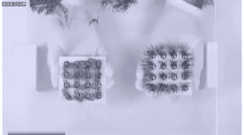 Honeycam 2024-08-02 13-21-17.gif