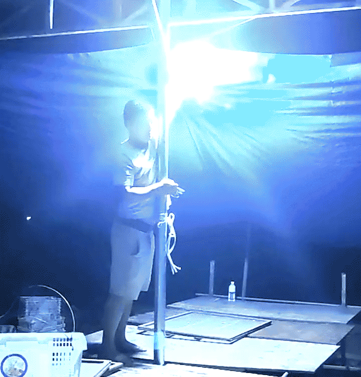 Honeycam 2024-07-25 13-57-26.gif