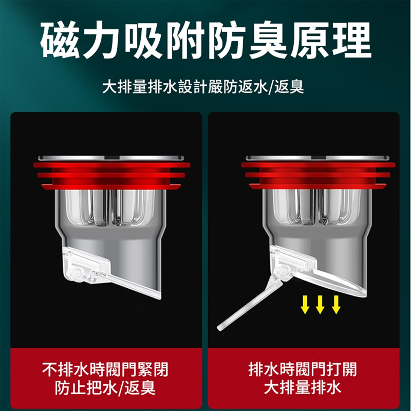 防臭防堵防蟲通用排水孔芯