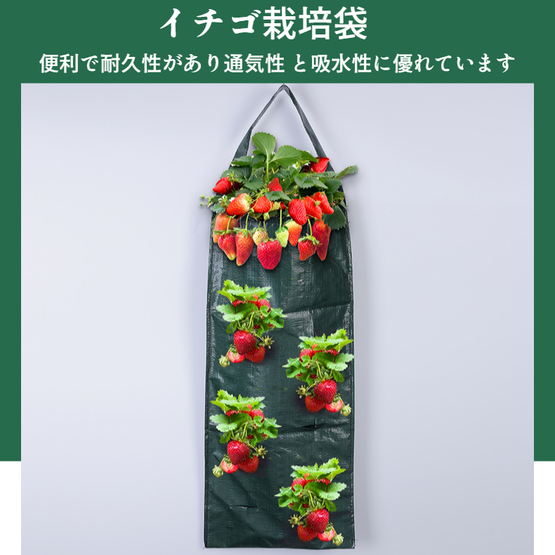 壁に取り付けられたシンプルな黒いイチゴの植栽バッグ、ファミリーバルコニーの果物と野菜のプラスチック製の植栽バッグ、折りたたみ式収納バッグ