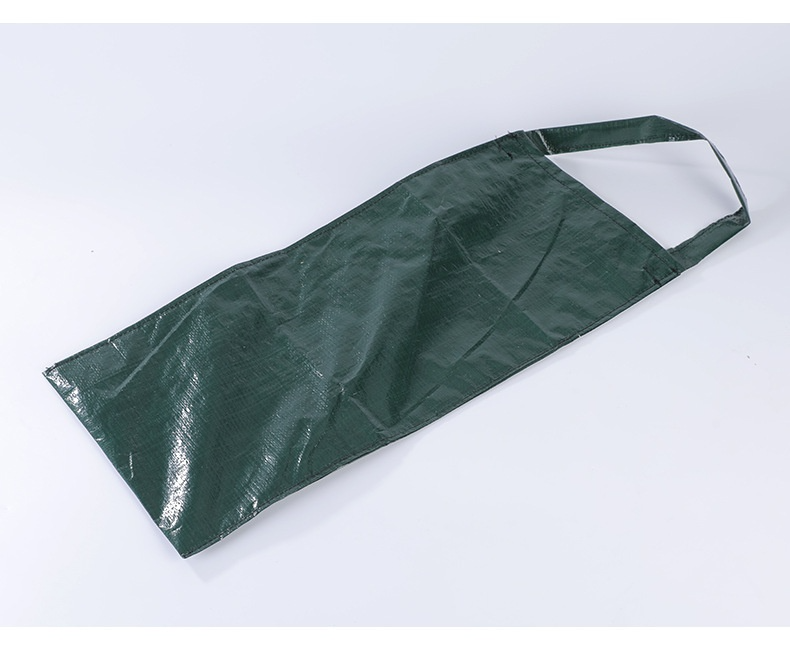 Detail kapsy vaku s rostoucí jahodou