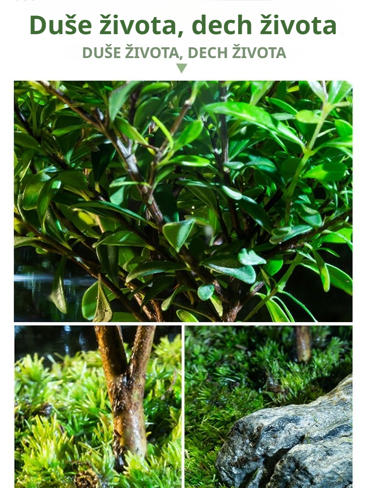 Hotová stolní bonsaj s mechem – miniaturní krajina