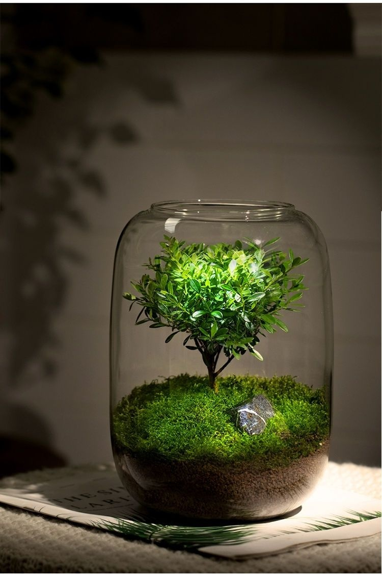 Kombinace zeleného mechu a bonsaje v miniaturní krajině