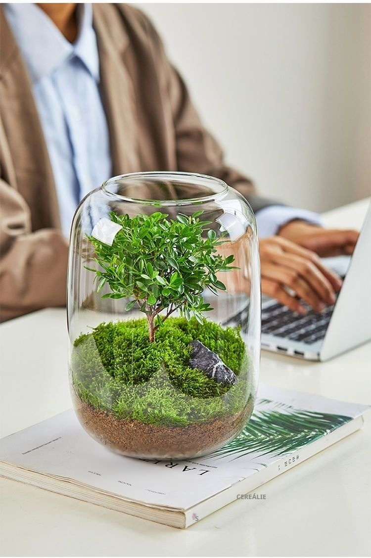 Detailní záběr na mech v miniaturní krajině