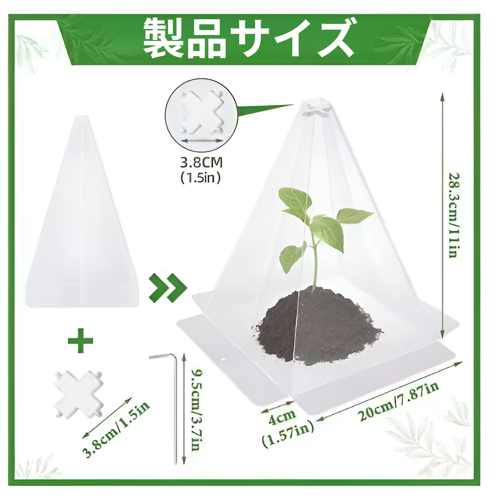 鳥害から苗を守る植物カバー