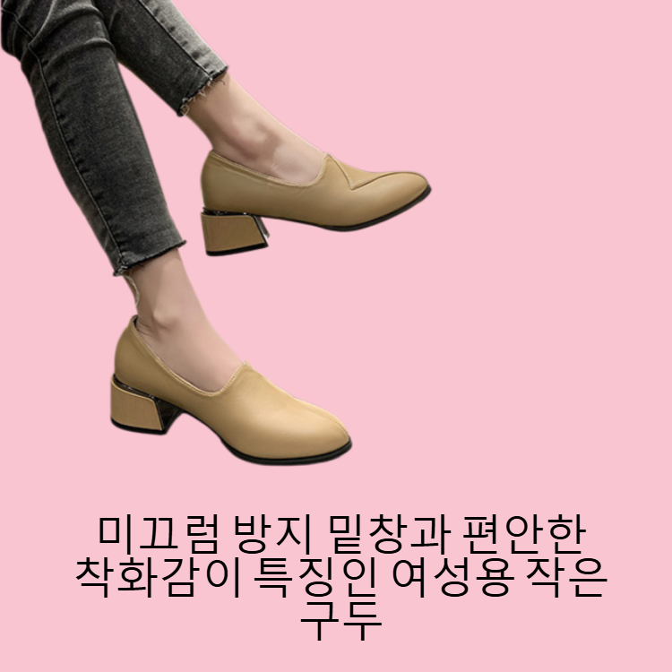 굵은 굽과 뾰족한 기질의 작은 구두