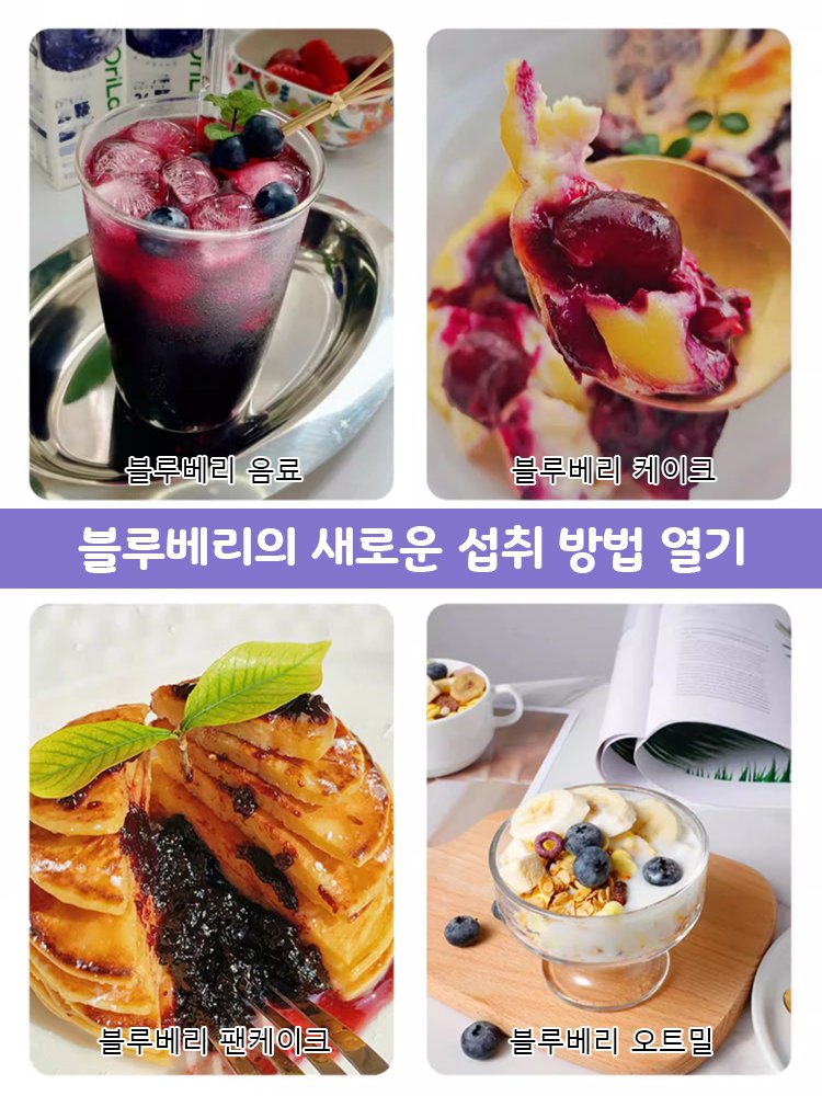 다품종 블루베리 씨앗