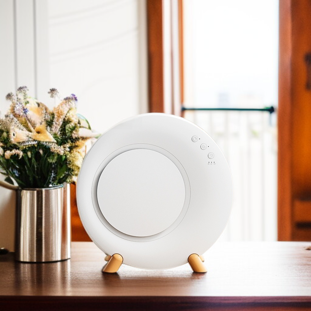 Mini déshumidificateur silencieux pour intérieur