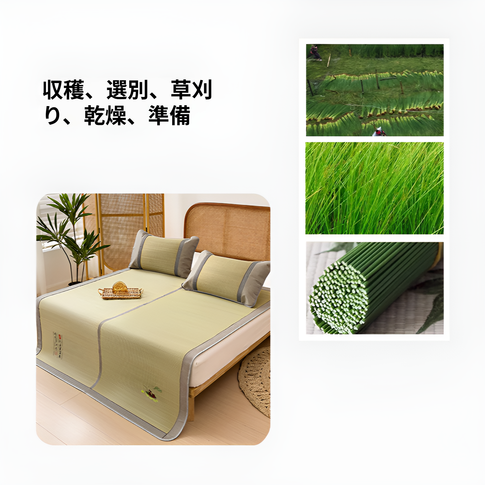 夏にぴったりな涼感い草カーペット