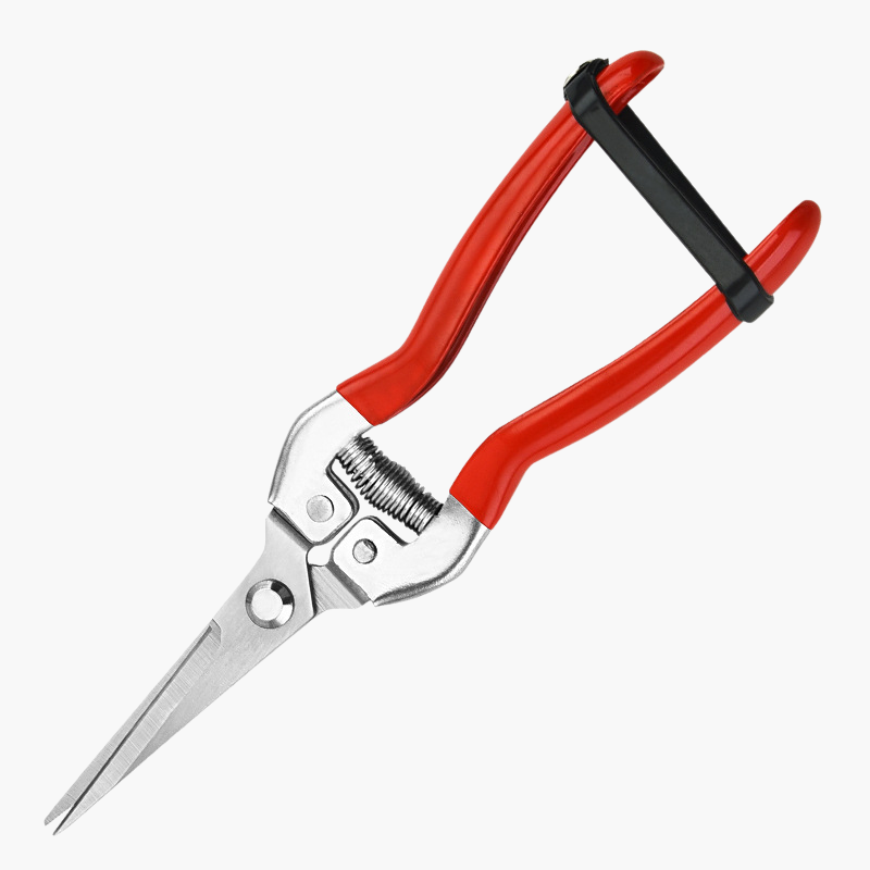 스테인리스 스틸 가지치기 가위