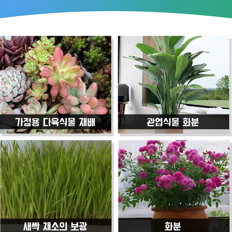 식물생장보광등타이밍보광다육육묘집게보광등약초생장등