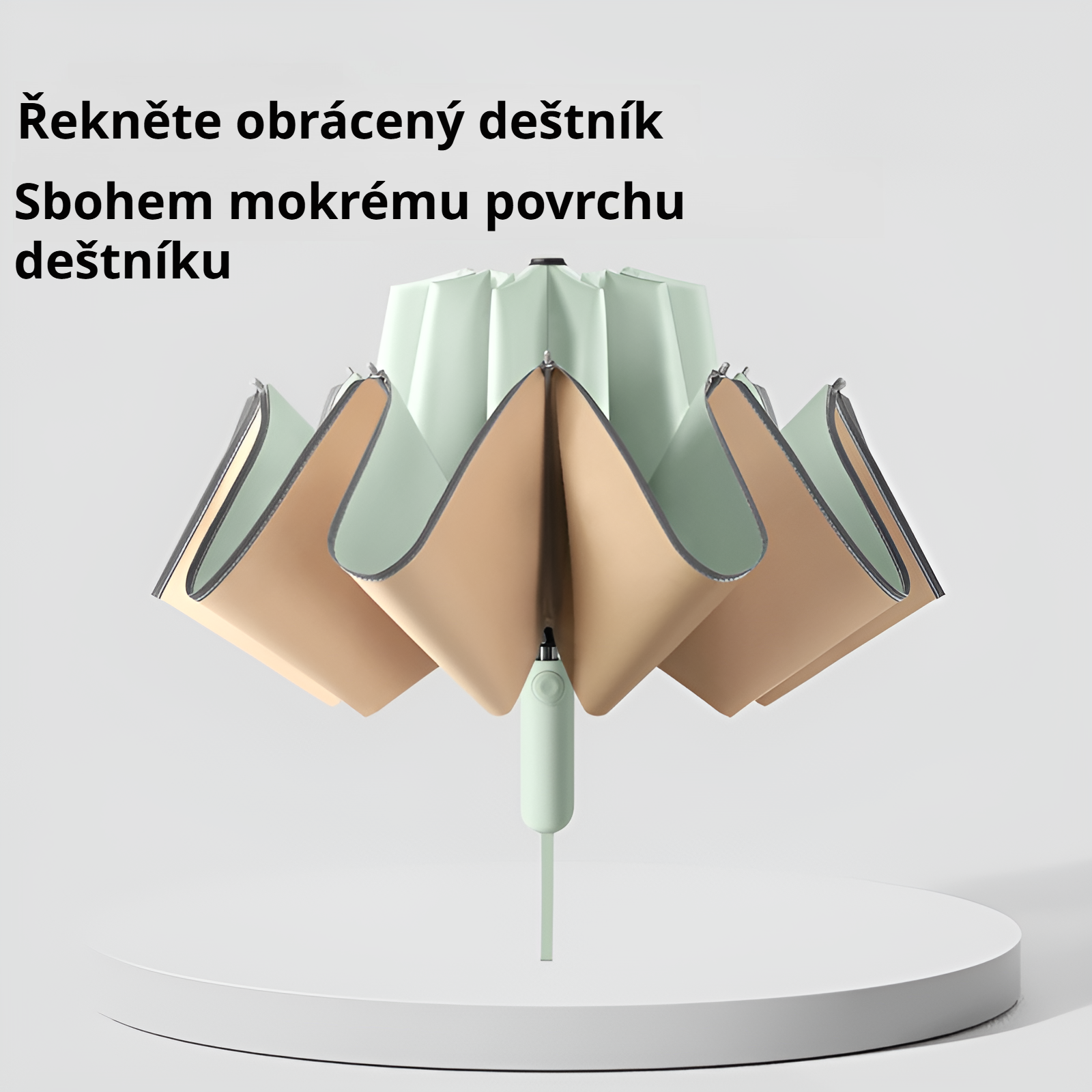 Detail robustních deseti žeber deštníku