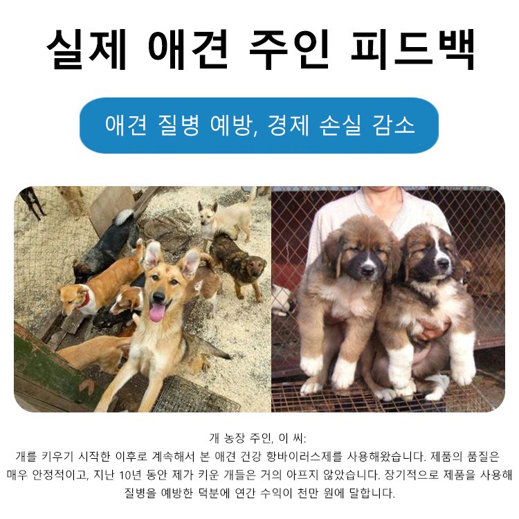 애견 건강 항바이러스제
