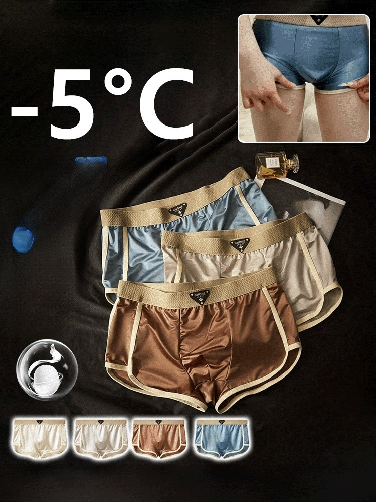 【10A 항균】고급 뽕나무 실크 남성 팬티