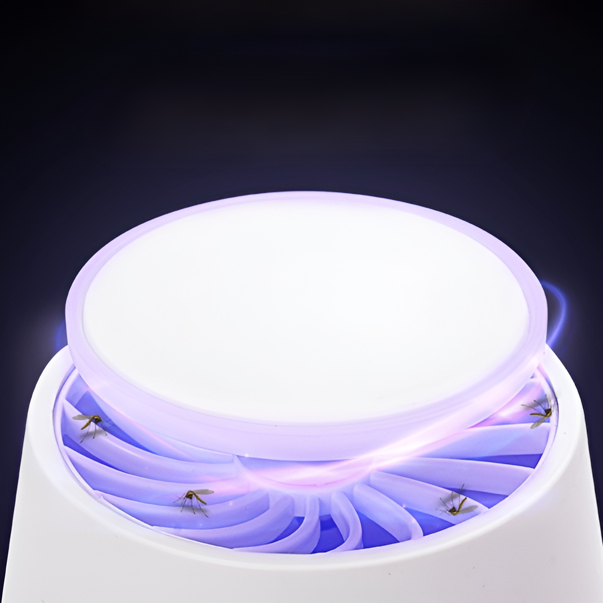 캠핑 모기퇴치등