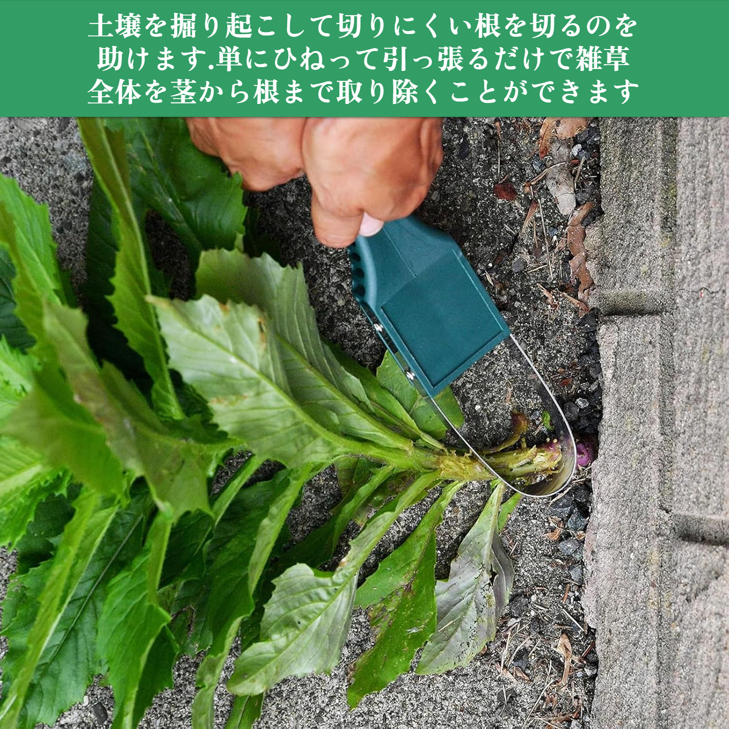 リングモア除草機の先端部分の拡大写真
