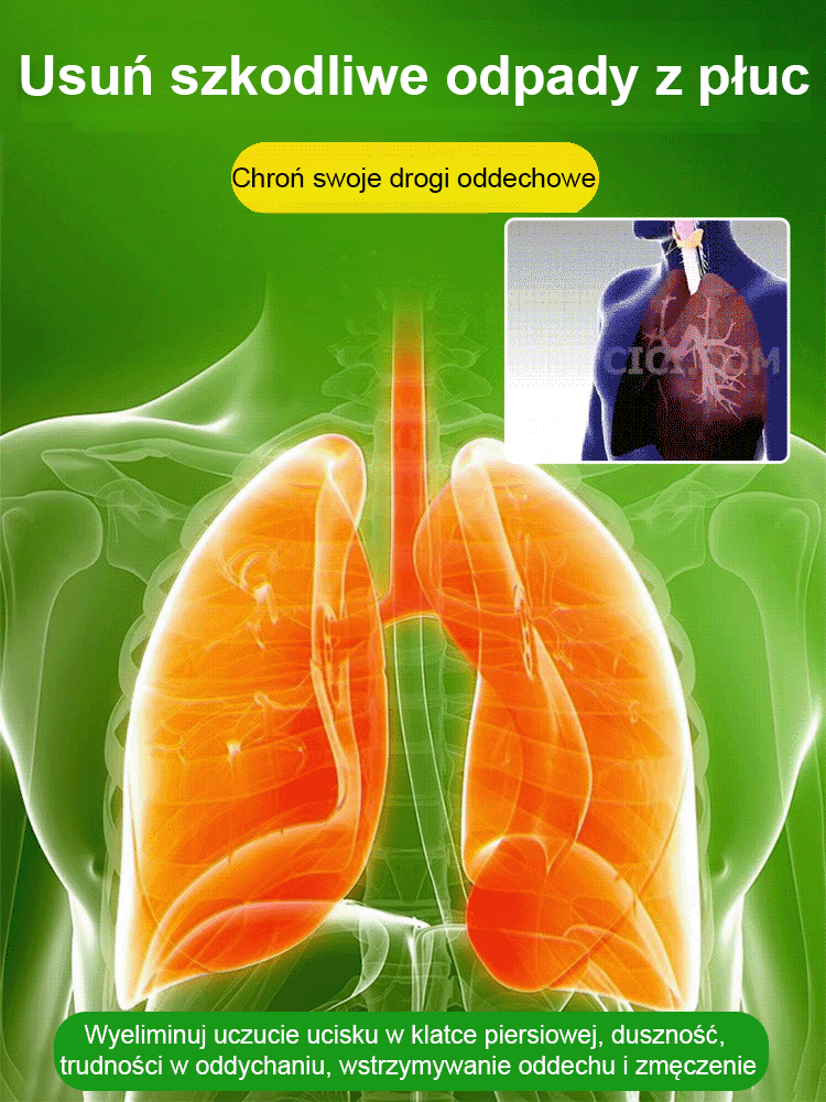 Roślina doniczkowa z orchideą kamienną do poprawy snu i oczyszczania powietrza