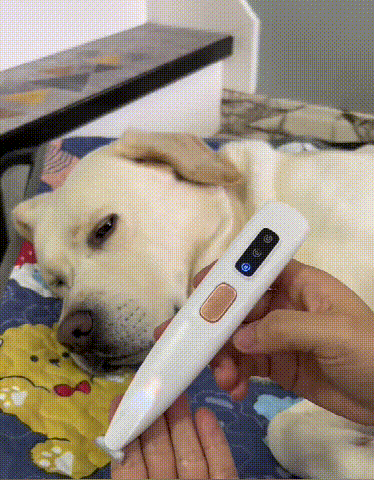下载 (3) (1).gif