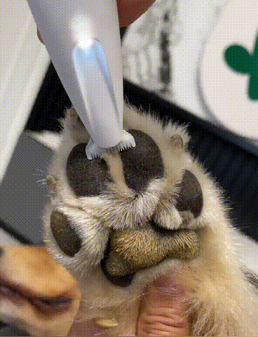 下载 (1).gif