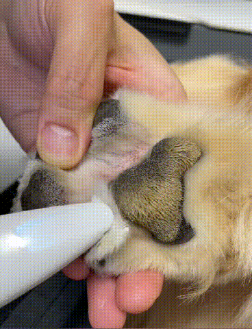 下载 (1) (3).gif