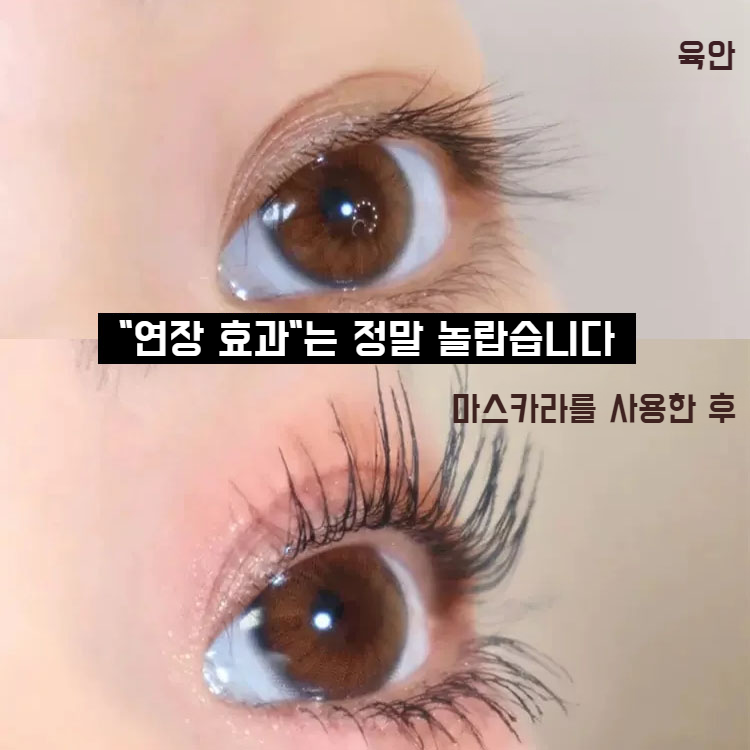 워터프루프 더블 볼륨 마스카라 내추럴 번짐 마스카라 바벨 더블 마스카라