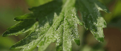 836ff9ea273e9397145ddd0377ebceaf.gif