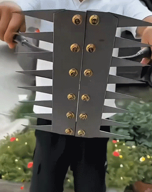 未标题-1_14.gif