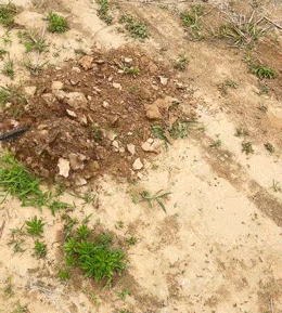 未标题-1_06 (1).gif