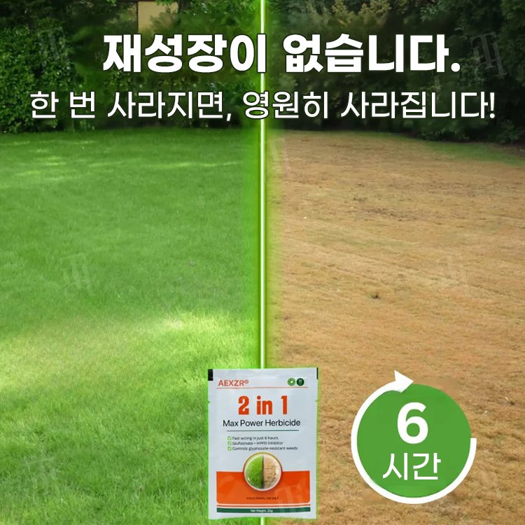 2 in 1 강력 제초제【6시간 내 효과 확인】