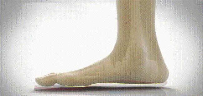 序列-02.gif