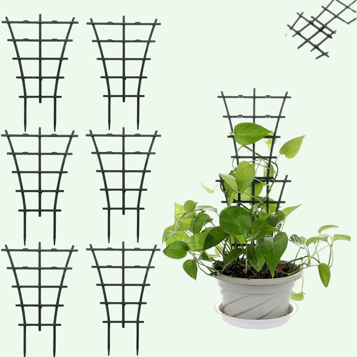 Plant support Christmas claw orchid clematis climbing frame gardening plant support frame