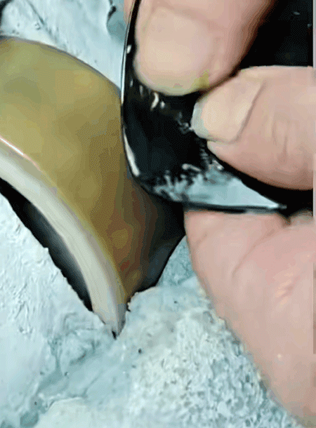 20240807_091426_028.gif