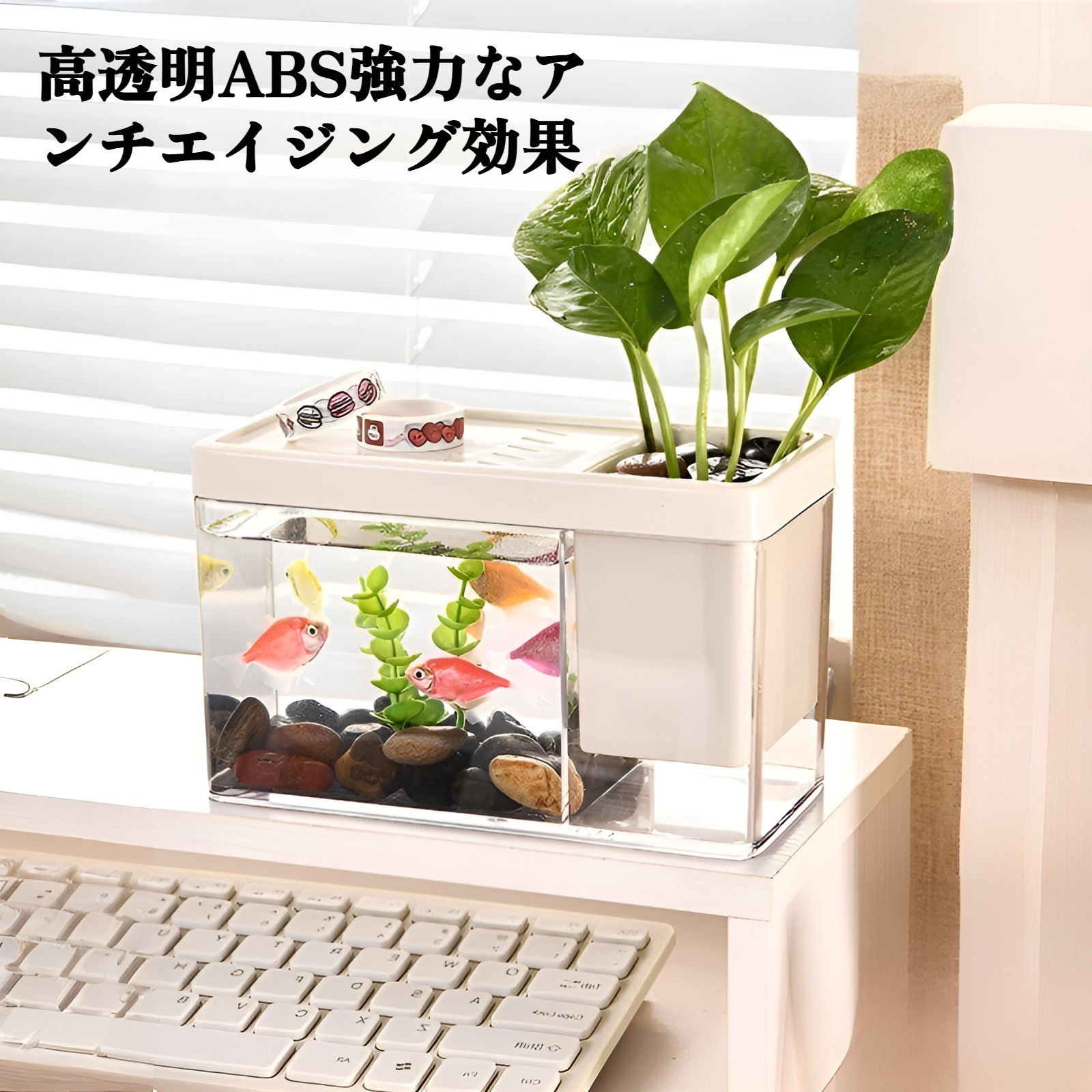 家庭用デスクトップアクアリウムセット