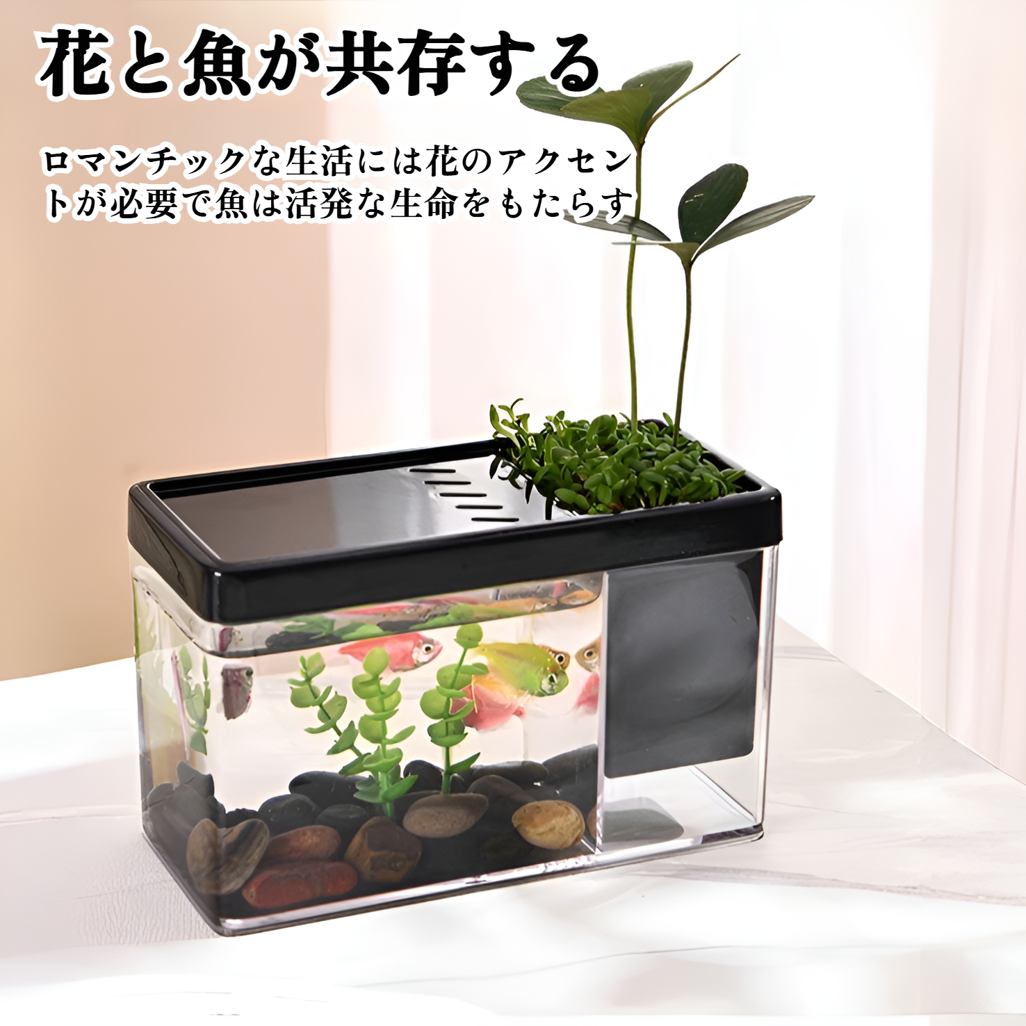 透明感のある厚いガラスの小型水槽