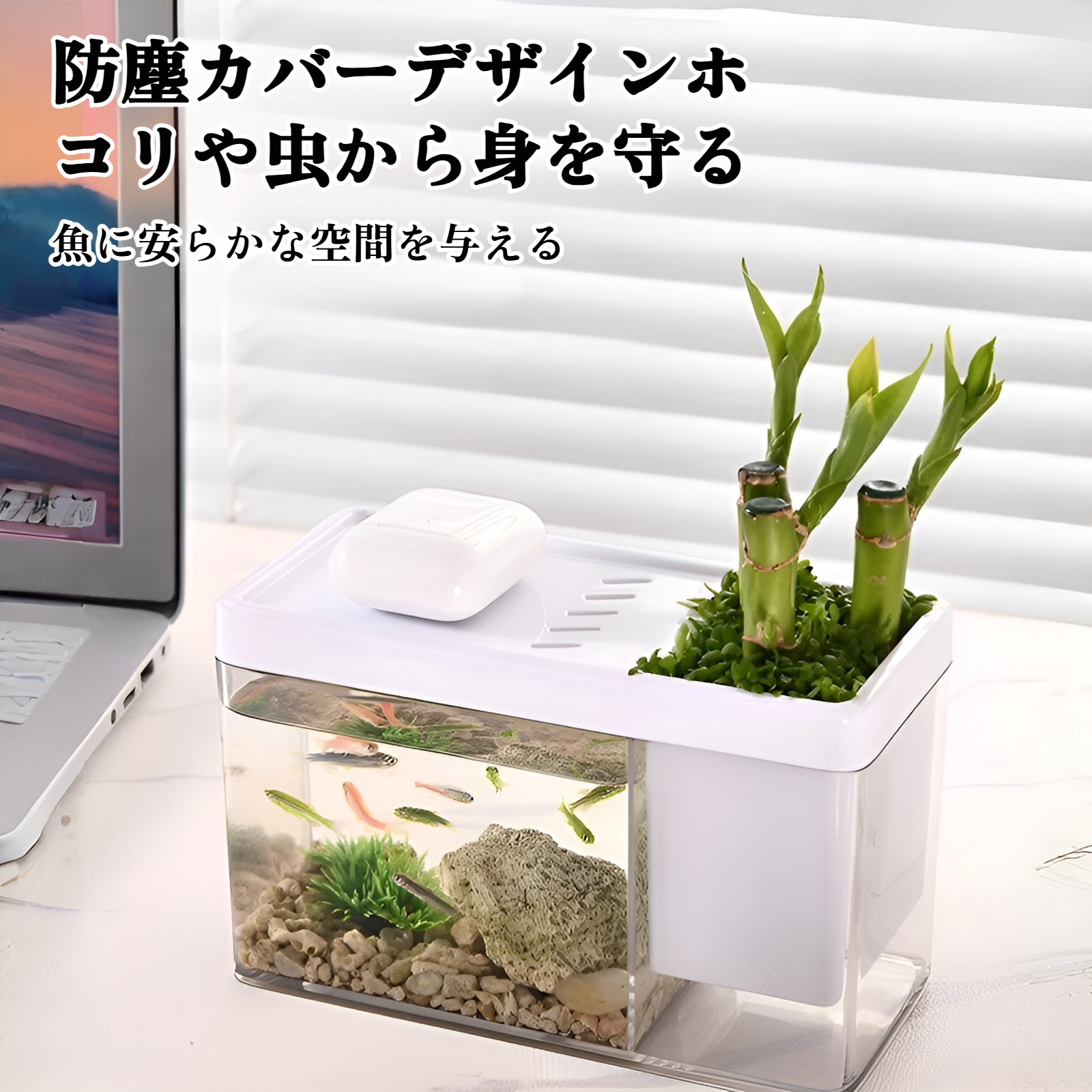 緑の植物と共に楽しめる家庭用水槽