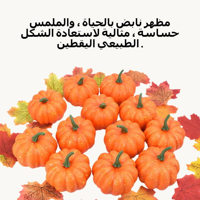 محاكاة اليقطين البندول