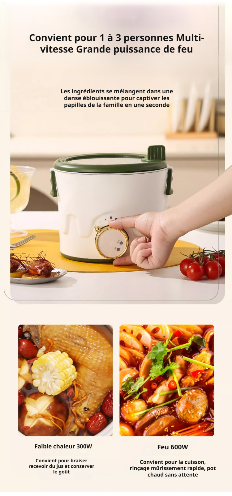 Mini cuisinière électrique facile à nettoyer