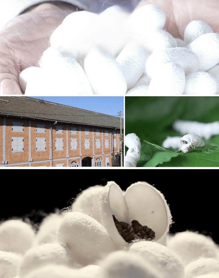 レディース上下セット