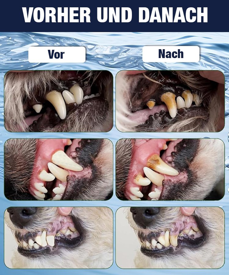 Ultraschall-Zahnreinigungsgerät für Haustiere