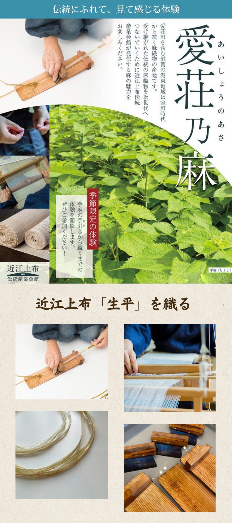 翻译件-HFH-轻量感透气亚麻裤子男-1262645_17.jpg