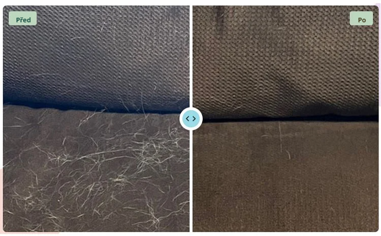 Odstraňovač chlupů z koberců s prodlužovací rukojetí