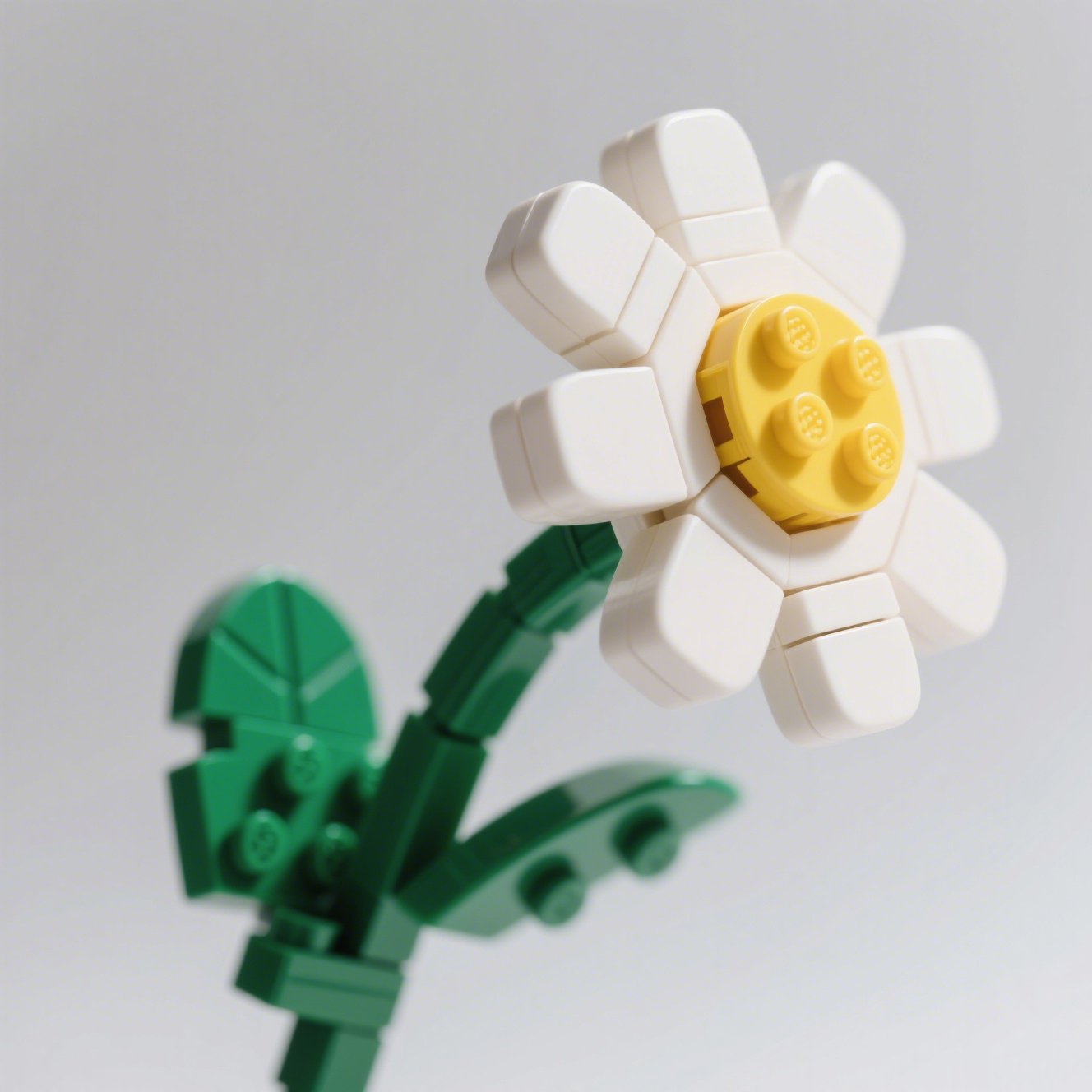 Detailní pohled na stavebnici sedmikrásky