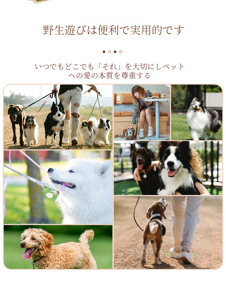 おしゃれな犬のワニ革首輪