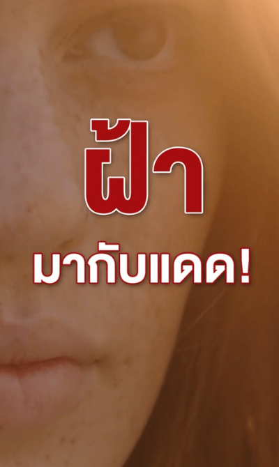 翻译_08.gif