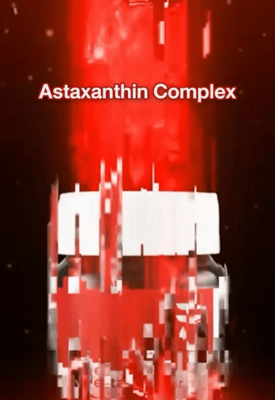 翻译_02+.gif